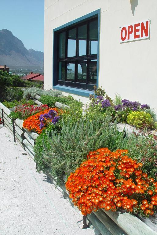 Jack'S Seaview Inn Bettyʼs Bay Exterior foto